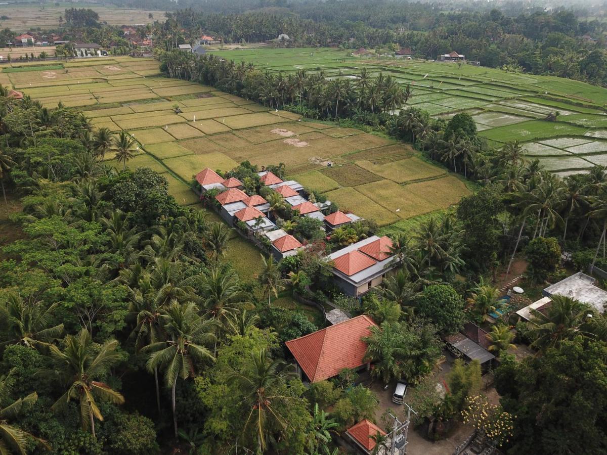 Asri Sari Ubud Villa & Resort 乌布 外观 照片