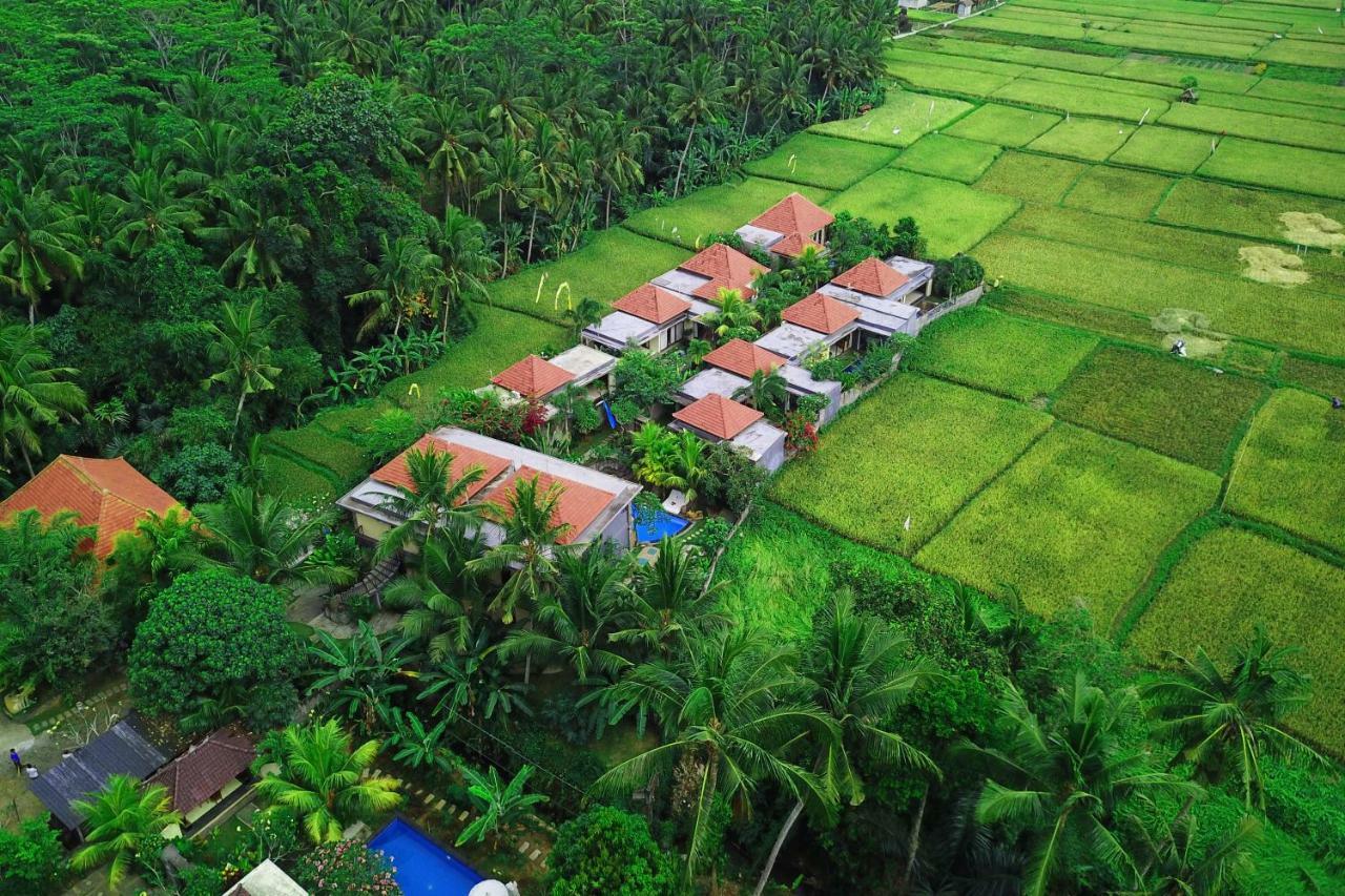 Asri Sari Ubud Villa & Resort 乌布 外观 照片